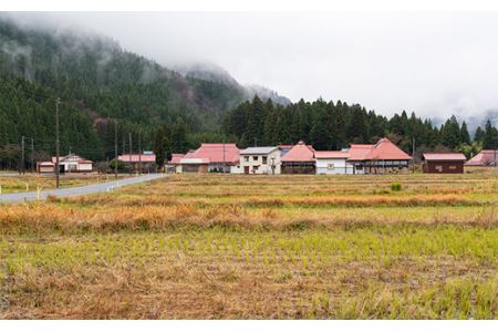 珍味 奥阿賀 鹿瀬のメダカ ３個入り 新潟県阿賀町 ふるさと納税サイト ふるなび