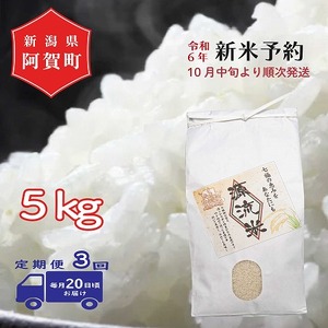 <定期便3回> 米 5kg 新潟県産 コシヒカリ 令和4年産 阿賀 上川 源流米 | 七福の恵 こしひかり 白米 精米 送料無料 お取り寄せ お米