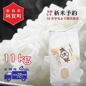 <定期便4回> 米 11kg 新潟県産 コシヒカリ 令和4年産 阿賀 上川 源流米 10kg + 1kg × 1袋 | 七福の恵 こしひかり 白米 精米 送料無料 お取り寄せ お米