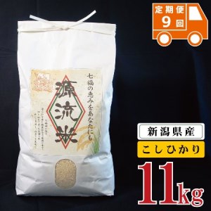 <定期便9回> 米 11kg 新潟県産 コシヒカリ 令和4年産 阿賀 上川 源流米 10kg + 1kg × 1袋 | 七福の恵 こしひかり 白米 精米 送料無料 お取り寄せ お米