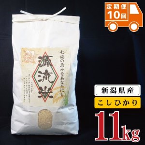 <定期便10回> 米 11kg 新潟県産 コシヒカリ 令和4年産 阿賀 上川 源流米 10kg + 1kg × 1袋 | 七福の恵 こしひかり 白米 精米 送料無料 お取り寄せ お米