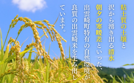 新米 新潟県産 コシヒカリ 5kg 出雲崎産 令和6年産