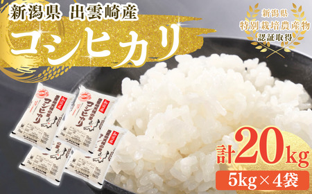 新米 新潟県産 コシヒカリ 20kg 出雲崎産 令和6年産