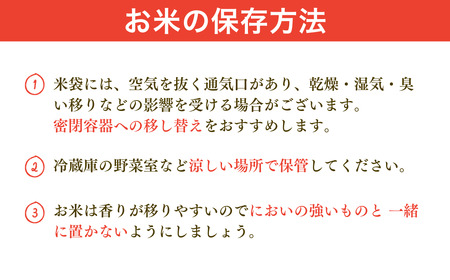 新米 新潟県産 コシヒカリ 20kg 出雲崎産 令和6年産