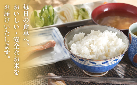 新米 新潟県産 コシヒカリ ブランド米 「出雲崎の輝き」 2kg 出雲崎 令和7年産 | コシヒカリ