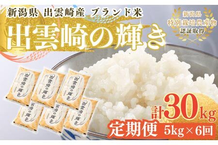 新米 新潟県産 コシヒカリ ブランド米 「出雲崎の輝き」 5kg×6か月 出雲崎産 令和6年産 定期便 合計30kg