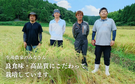 新米 新潟県産 コシヒカリ ブランド米 「出雲崎の輝き」 5kg×6か月 出雲崎産 令和6年産 定期便 合計30kg