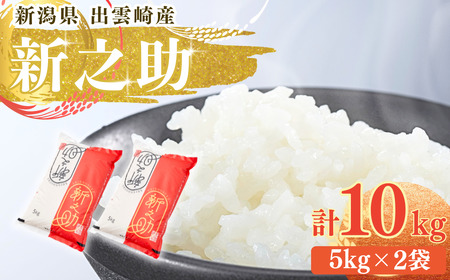 新潟県産 「新之助」 10kg 出雲崎 令和7年産 | 新之助 出雲崎町