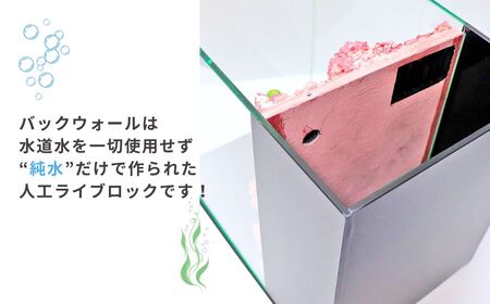 【海水魚専用】ハンドメイド小型水槽（30×20×25cm）※ポンプなし | 新潟県 出雲崎町