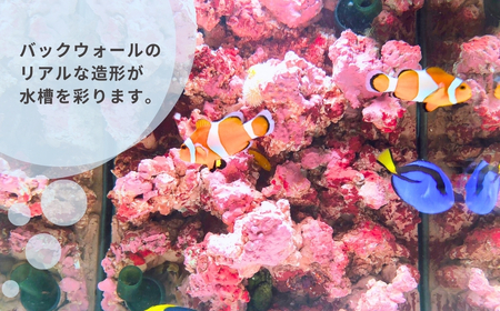 【海水魚専用】ハンドメイド小型水槽（30×20×25cm）※ポンプなし | 新潟県 出雲崎町