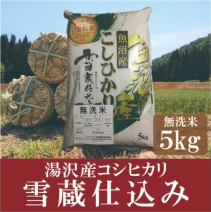 ふるさと納税 【頒布会】 雪蔵仕込み 新潟県産こしひかり 5kg 【3回