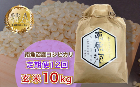 令和5年産 【玄米10kg/12回定期便】「越後湯沢産」【湯沢産コシヒカリ