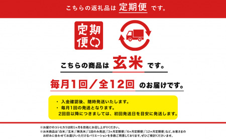 令和5年産 【玄米10kg/12回定期便】「越後湯沢産」【湯沢産コシヒカリ