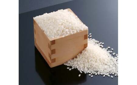 【12ヶ月定期便】令和5年産 湯沢産コシヒカリ＜白米＞10kg（5kg×2袋）精米したてのお米をお届け