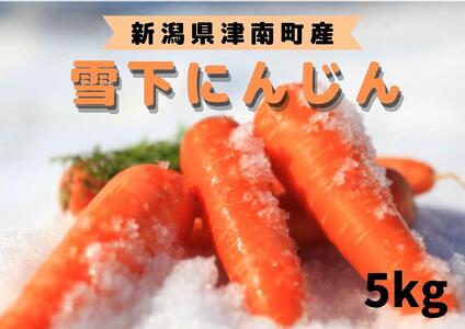 【季節限定】雪国ならではの逸品！津南町の雪下にんじん（５ｋｇ）