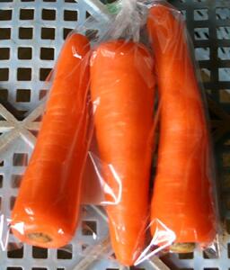 【令和8年産 先行予約】津南産 雪下にんじん 10kg 50?70本 |津南町 雪下人参