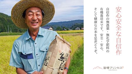 【2025年産新米】魚沼産コシヒカリ 苗場プリンセス 特別栽培米 農薬化学肥料5割減 精米27kg(9kg×3) |津南町 魚沼産 コシヒカリ
