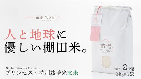 【2025年産 】魚沼産コシヒカリ 苗場プリンセス 特別栽培米 農薬化学肥料5割減 玄米（2kg）×1 |津南町 魚沼産 コシヒカリ