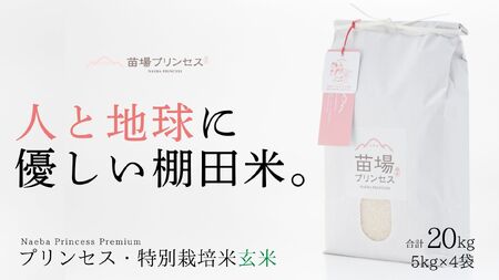 【2025年産 】魚沼産コシヒカリ 苗場プリンセス 特別栽培米 農薬化学肥料5割減 玄米20kg（5kg×4） |津南町 魚沼産 コシヒカリ
