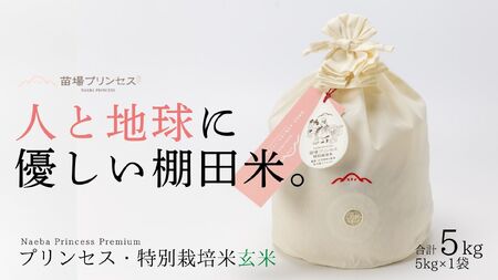 【2025年産 】魚沼産コシヒカリ 苗場プリンセス 特別栽培米 農薬化学肥料5割減 玄米（5kg）×1（コットン袋入り） |津南町 魚沼産 コシヒカリ