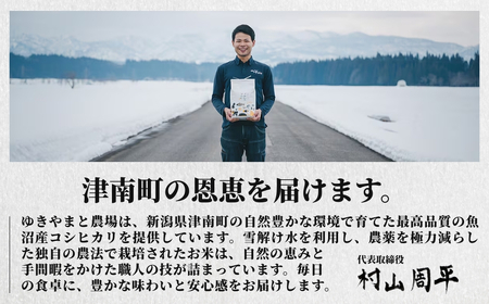 魚沼産コシヒカリ  特別栽培米  ゆきやまと 10kg(5キロ×2袋) | 津南町 魚沼 令和7年