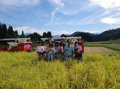 魚沼産コシヒカリ 苗場プリンセス 農薬・化学肥料5割減特別栽培米 ごはんパック(20パック入り） |津南町 パックごはん