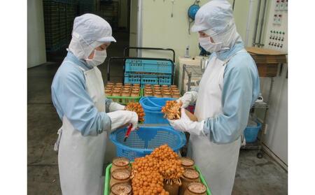 きのこセット (8種・約1600g) |津南町 きのこセット