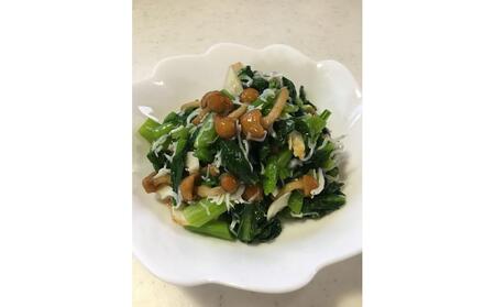 きのこセット (8種・約1600g) |津南町 きのこセット