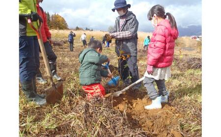 まる1日津南体験 広葉樹植栽と秋野菜収穫体験 (1名様) |津南町 野菜収穫体験