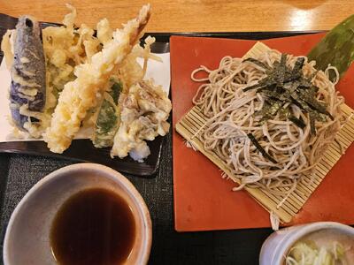 蕎麦 ふのりそば 3袋 |津南町 蕎麦