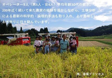 魚沼産こがねもち 精米2kg 有機jaS認証米 |津南町 こがねもち