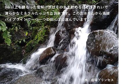 魚沼産こがねもち 精米10kg(5kg×2)特別栽培米 農薬化学肥料5割減 |津南町 こがねもち