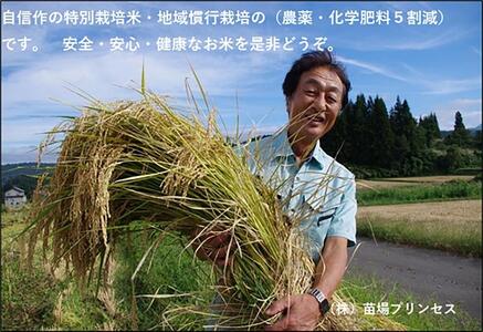 魚沼産こがねもち 精米2kg 特別栽培米 農薬化学肥料5割減 |津南町 こがねもち