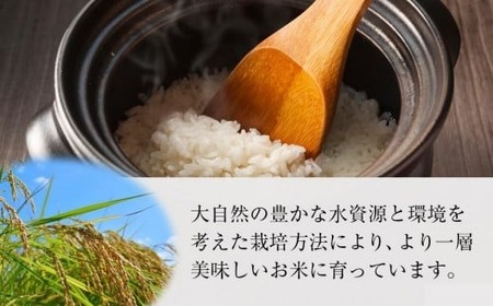 魚沼産コシヒカリ 特別栽培米 雪美人  5kg  |津南町 魚沼 令和7年