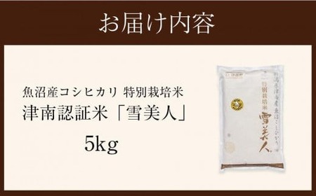 魚沼産コシヒカリ 特別栽培米 雪美人  5kg  |津南町 魚沼 令和7年