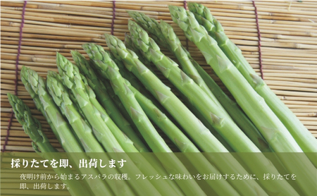 【令和8年産先行予約】津南産アスパラガス LA・2L おまかせ1.3kg |津南町 アスパラガス