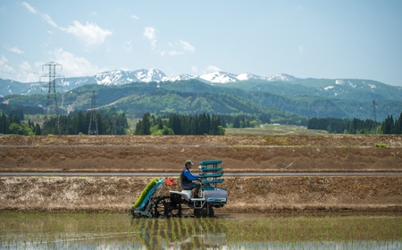ゆきのまゆ 純米大吟醸 720ml ×1本 新潟県 苗場酒造株式会社 |津南町 純米大吟醸