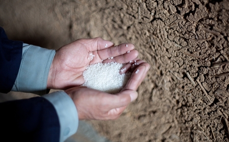 苗場山 純米吟醸・本醸造 720ml 2本セット 新潟県 苗場酒造株式会社 |津南町 日本酒セット