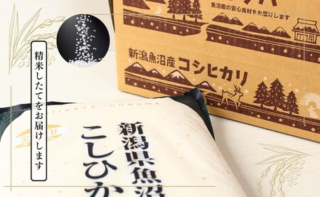 6ヶ月定期便 魚沼産コシヒカリ 金印 高食味米 5kg 有限会社イタバ |津南町 魚沼 令和7年