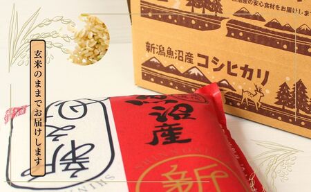 令和7年産新米 中魚沼産「新之助(しんのすけ)」玄米 5kg 新潟県 有限会社イタバ |津南町 新之助(しんのすけ)