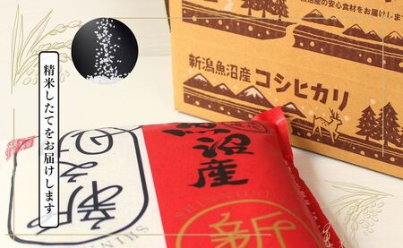 中魚沼産「新之助(しんのすけ)」10kg 有限会社イタバ |津南町 令和7年
