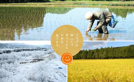 中魚沼産「新之助(しんのすけ)」10kg 有限会社イタバ |津南町 令和7年