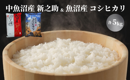 「新之助」5kg ＋ 魚沼産コシヒカリ「金印」5kg 食べ比べセット 有限会社イタバ |津南町 魚沼 令和7年