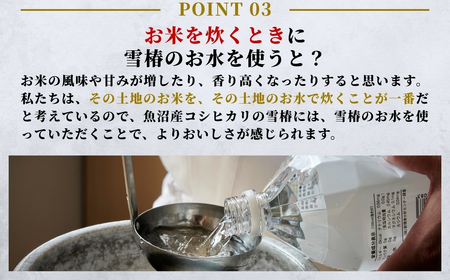 天然水 雪椿 2L×6本｜津南町 天然水