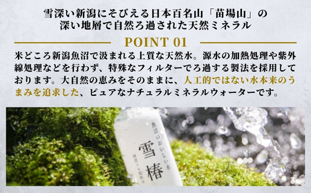 【12ヶ月定期便】雪椿の天然水 2L×6本