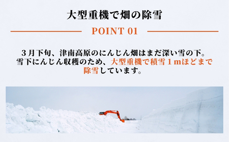 【令和8年産先行予約】津南の雪下にんじん 7kg 新潟県 旭商事株式会社