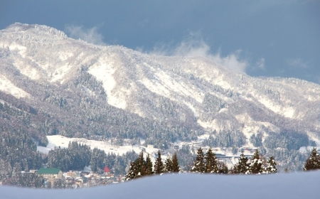魚沼産コシヒカリ 段丘の華 5kg×1袋 | 津南町 魚沼 令和7年