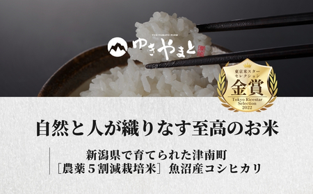 魚沼産コシヒカリ  特別栽培米 ゆきやまと 5kg×6か月連続お届け | 30キロ 津南町 魚沼 令和7年