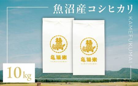 魚沼産コシヒカリ 亀福米 10kg(5キロ×2袋)  特別栽培 | 津南町 魚沼 令和7年