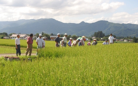 魚沼産コシヒカリ ひまわりの里 5kg2袋×6か月連続お届け | 60キロ 津南町 魚沼 令和7年